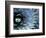 Pattern in Agave Cactus-Adam Jones-Framed Photographic Print