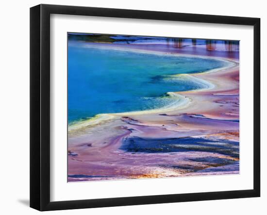 Pattern in Bacterial Mat, Midway Geyser Basin, Yellowstone National Park, Wyoming, USA-Adam Jones-Framed Photographic Print