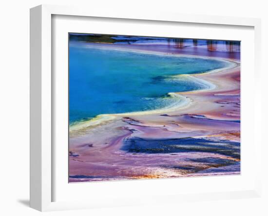 Pattern in Bacterial Mat, Midway Geyser Basin, Yellowstone National Park, Wyoming, USA-Adam Jones-Framed Photographic Print