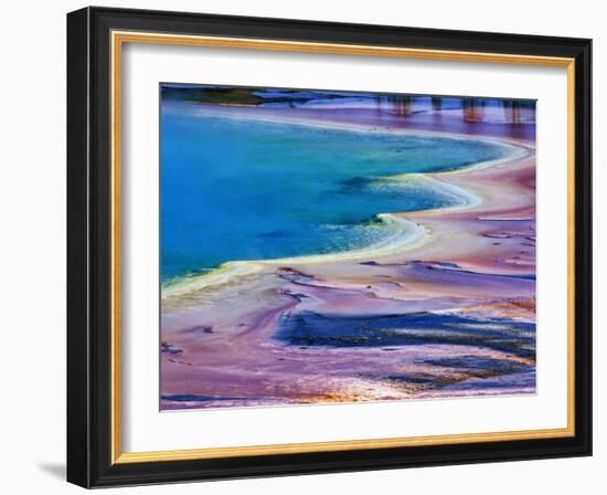 Pattern in Bacterial Mat, Midway Geyser Basin, Yellowstone National Park, Wyoming, USA-Adam Jones-Framed Photographic Print