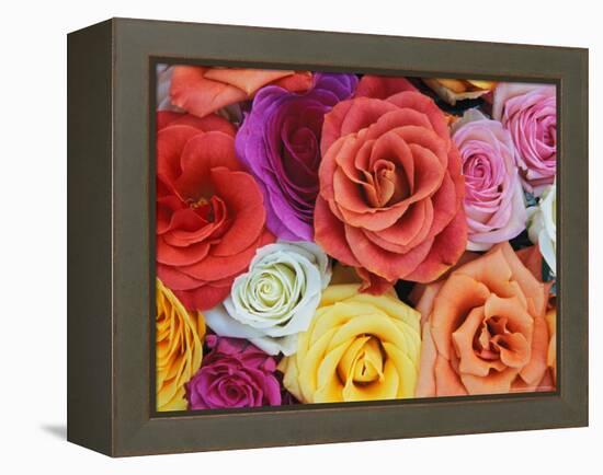 Pattern in Basket of Roses, Louisville, Kentucky, USA-Adam Jones-Framed Premier Image Canvas