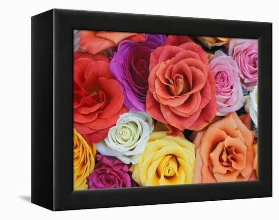 Pattern in Basket of Roses, Louisville, Kentucky, USA-Adam Jones-Framed Premier Image Canvas