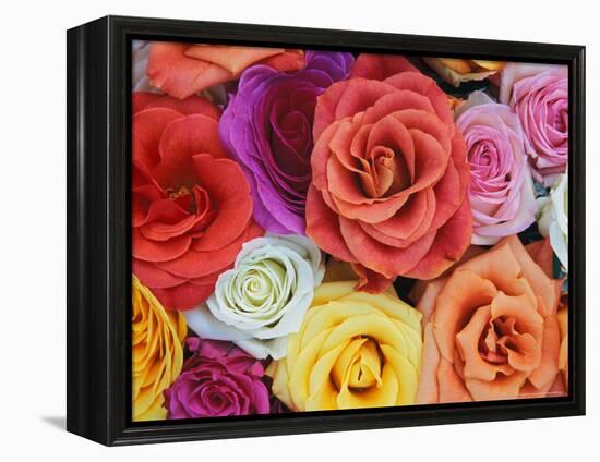 Pattern in Basket of Roses, Louisville, Kentucky, USA-Adam Jones-Framed Premier Image Canvas