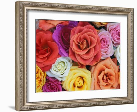 Pattern in Basket of Roses, Louisville, Kentucky, USA-Adam Jones-Framed Photographic Print