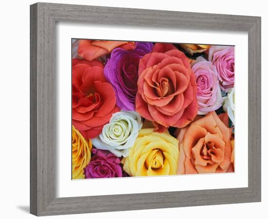 Pattern in Basket of Roses, Louisville, Kentucky, USA-Adam Jones-Framed Photographic Print