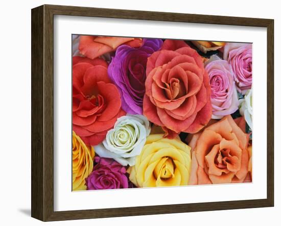 Pattern in Basket of Roses, Louisville, Kentucky, USA-Adam Jones-Framed Photographic Print