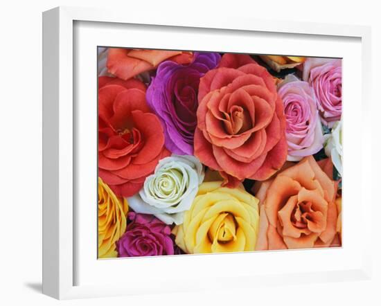 Pattern in Basket of Roses, Louisville, Kentucky, USA-Adam Jones-Framed Photographic Print