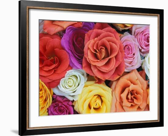 Pattern in Basket of Roses, Louisville, Kentucky, USA-Adam Jones-Framed Photographic Print