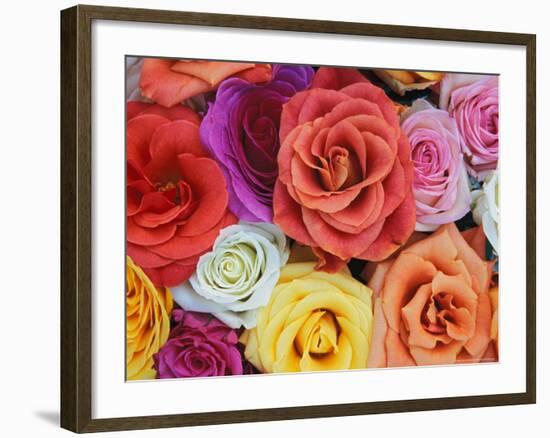 Pattern in Basket of Roses, Louisville, Kentucky, USA-Adam Jones-Framed Photographic Print