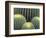 Pattern in Cactus-Adam Jones-Framed Photographic Print