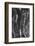 Pattern in dead tree, San Cristobal Island, Galapagos Islands, Ecuador.-Adam Jones-Framed Photographic Print