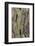 Pattern in dead tree, San Cristobal Island, Galapagos Islands, Ecuador.-Adam Jones-Framed Photographic Print