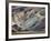 Pattern in Volcanic Mountain Slope, Iceland-Adam Jones-Framed Photographic Print