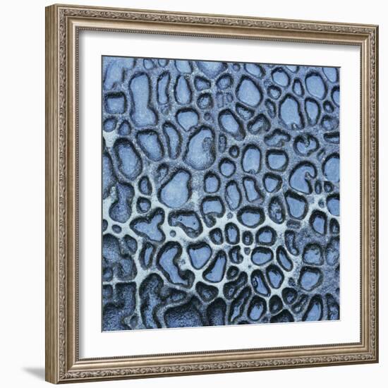 Pattern in Wet Stone-Micha Pawlitzki-Framed Photographic Print