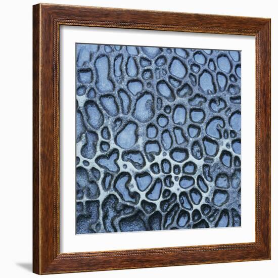 Pattern in Wet Stone-Micha Pawlitzki-Framed Photographic Print