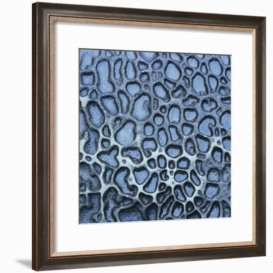 Pattern in Wet Stone-Micha Pawlitzki-Framed Photographic Print