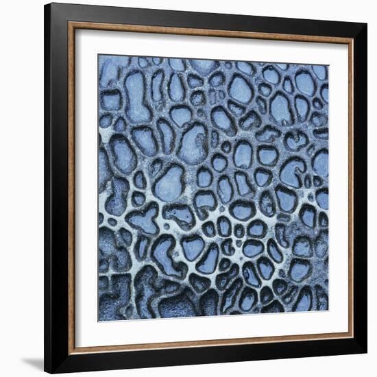 Pattern in Wet Stone-Micha Pawlitzki-Framed Photographic Print