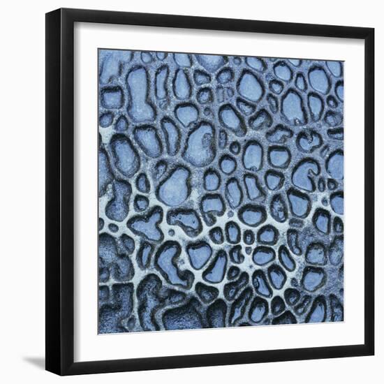 Pattern in Wet Stone-Micha Pawlitzki-Framed Photographic Print