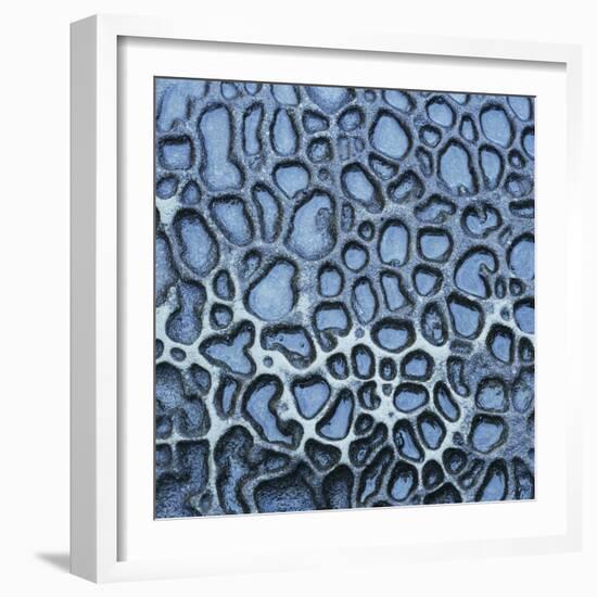 Pattern in Wet Stone-Micha Pawlitzki-Framed Photographic Print