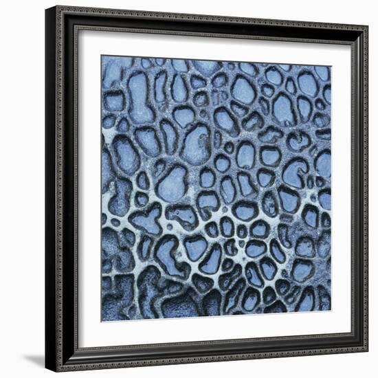 Pattern in Wet Stone-Micha Pawlitzki-Framed Photographic Print