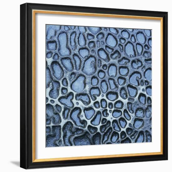 Pattern in Wet Stone-Micha Pawlitzki-Framed Photographic Print