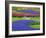 Pattern of Grape Hyacinth, Keukenhof Gardens, Lisse, Netherlands-Adam Jones-Framed Photographic Print