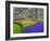 Pattern of Grape Hyacinth, Keukenhof Gardens, Lisse, Netherlands-Adam Jones-Framed Photographic Print