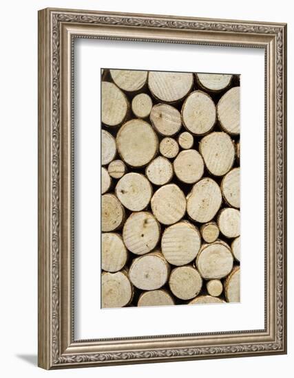 Pattern of Round Logs, San Francisco, California, USA-Julien McRoberts-Framed Photographic Print