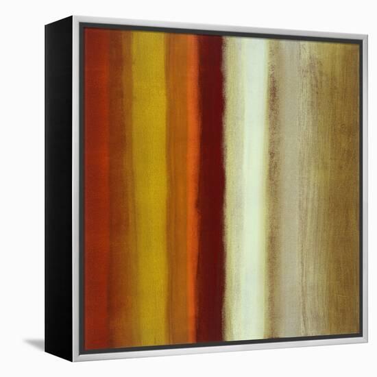Pattern of Success-Randy Hibberd-Framed Stretched Canvas