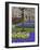 Pattern of tulips and Grape Hyacinth flowers, Keukenhof Gardens, Lisse, Netherlands-Adam Jones-Framed Photographic Print