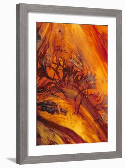 Pattern on Drift Wood, Olympic National Park, Washington, USA-Charles Gurche-Framed Photographic Print