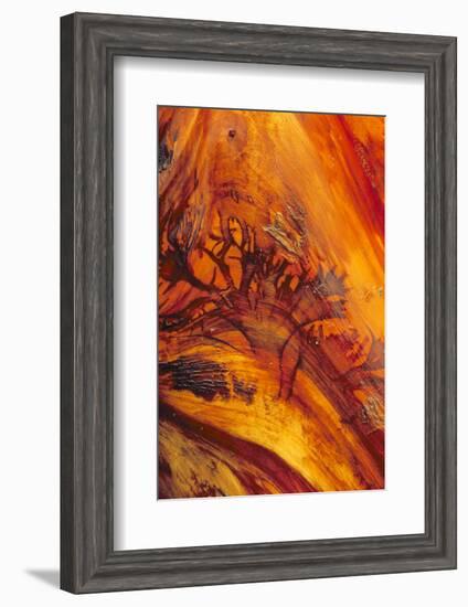 Pattern on Drift Wood, Olympic National Park, Washington, USA-Charles Gurche-Framed Photographic Print