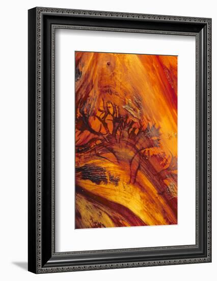 Pattern on Drift Wood, Olympic National Park, Washington, USA-Charles Gurche-Framed Photographic Print