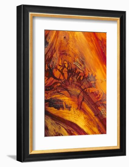 Pattern on Drift Wood, Olympic National Park, Washington, USA-Charles Gurche-Framed Photographic Print