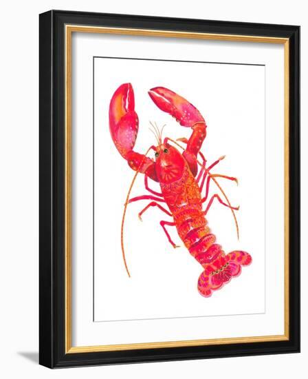 Patterned Lobster-Isabelle Brent-Framed Photographic Print