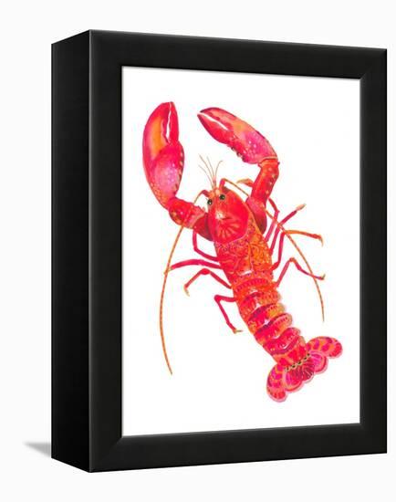 Patterned Lobster-Isabelle Brent-Framed Premier Image Canvas