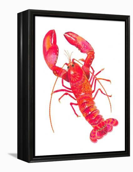 Patterned Lobster-Isabelle Brent-Framed Premier Image Canvas