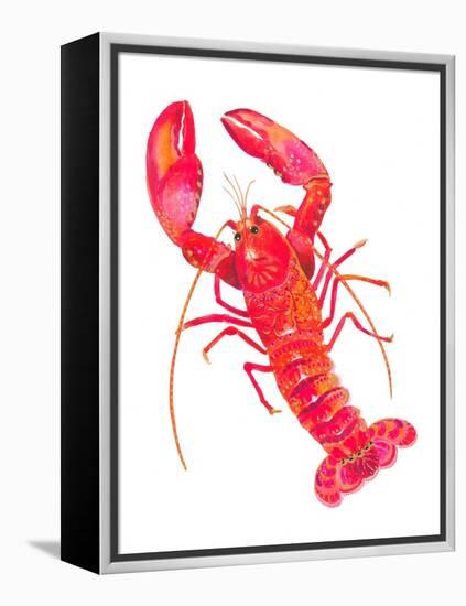 Patterned Lobster-Isabelle Brent-Framed Premier Image Canvas