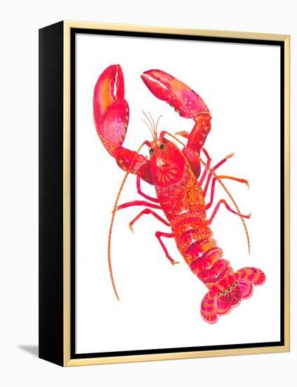 Patterned Lobster-Isabelle Brent-Framed Premier Image Canvas