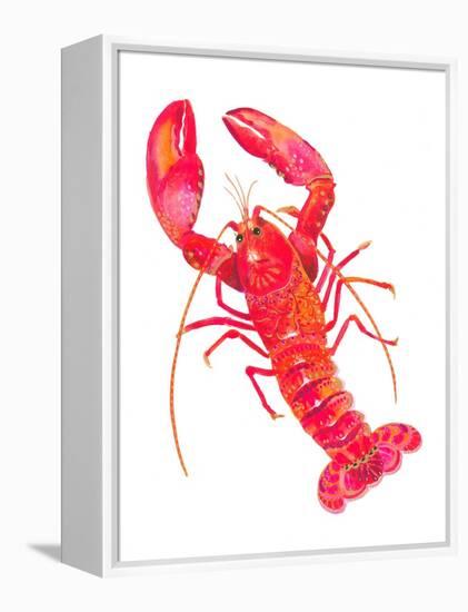 Patterned Lobster-Isabelle Brent-Framed Premier Image Canvas