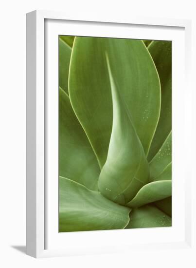 Patterned Nature I-Vision Studio-Framed Art Print