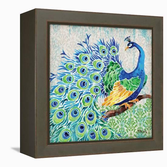 Patterned Peacock I-Paul Brent-Framed Stretched Canvas