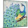 Patterned Peacock I-Paul Brent-Mounted Art Print