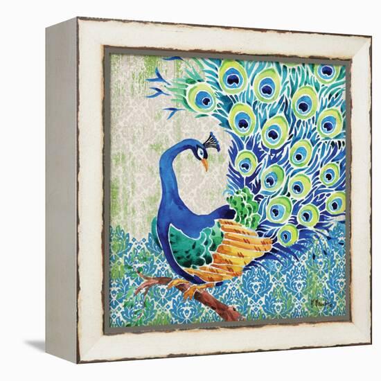 Patterned Peacock II-Paul Brent-Framed Stretched Canvas