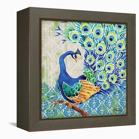 Patterned Peacock II-Paul Brent-Framed Stretched Canvas