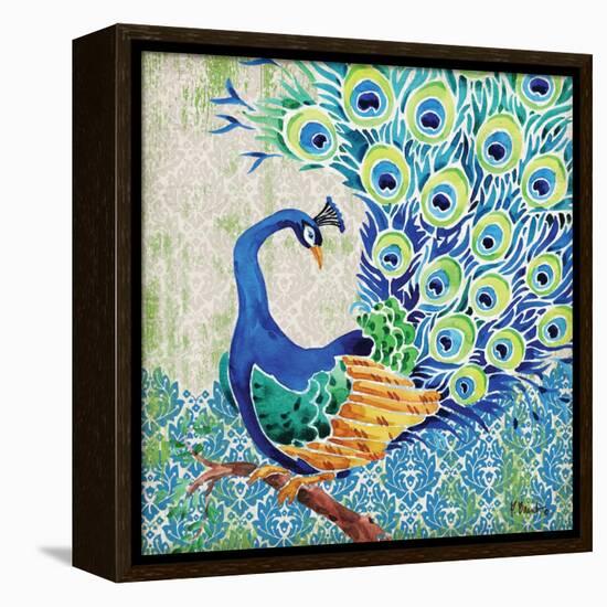 Patterned Peacock II-Paul Brent-Framed Stretched Canvas