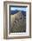 Patterns Along the Sand Dunes, Mesquite Dunes, Death Valley NP-James White-Framed Photographic Print