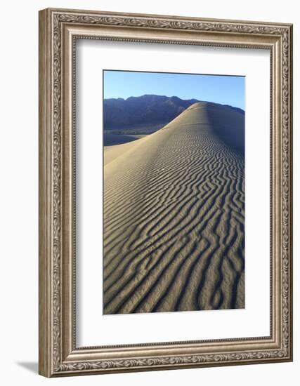 Patterns Along the Sand Dunes, Mesquite Dunes, Death Valley NP-James White-Framed Photographic Print