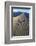 Patterns Along the Sand Dunes, Mesquite Dunes, Death Valley NP-James White-Framed Photographic Print