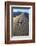 Patterns Along the Sand Dunes, Mesquite Dunes, Death Valley NP-James White-Framed Photographic Print